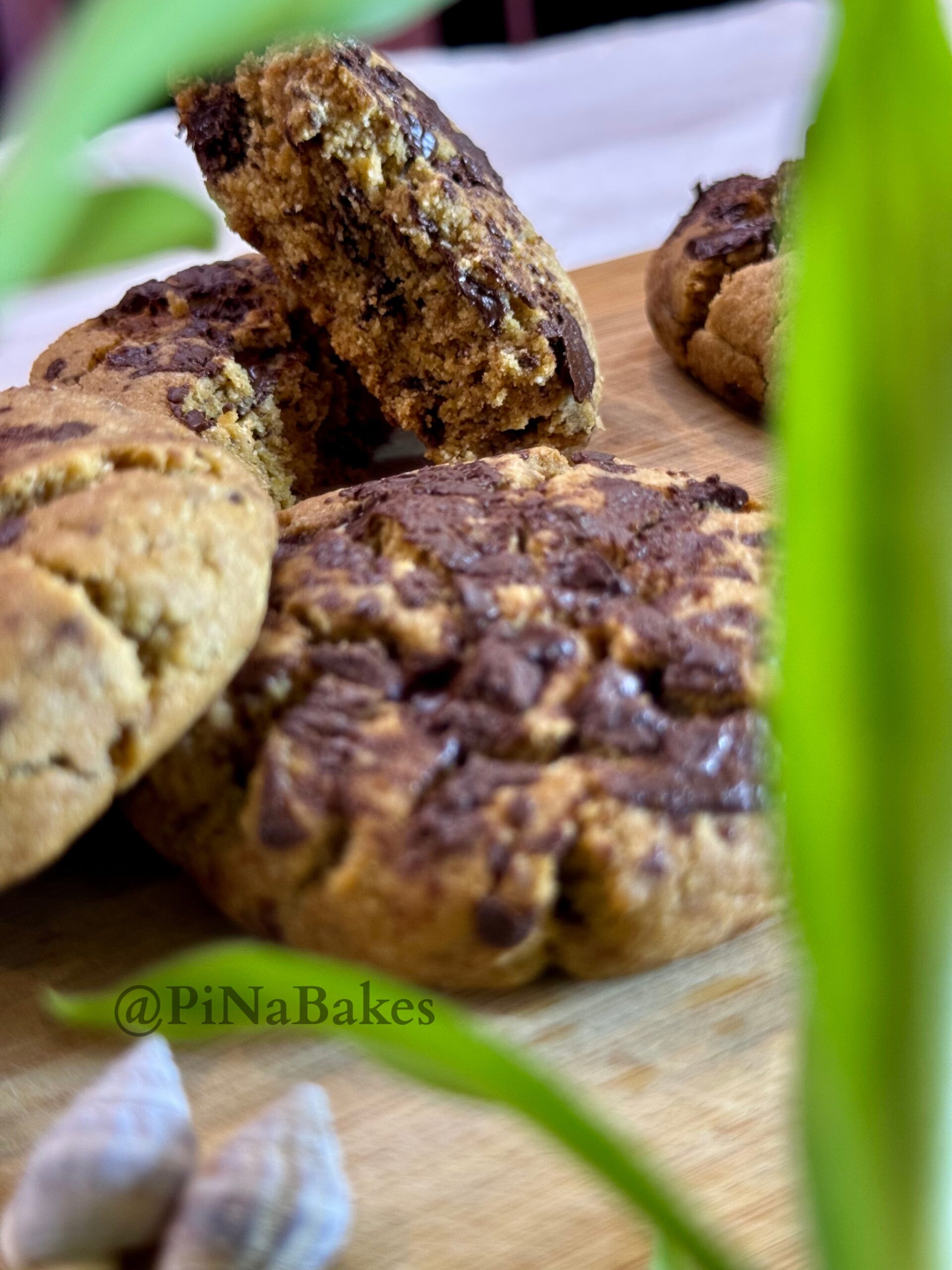 Foxtail True Choclate